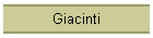 Giacinti