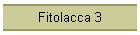 Fitolacca 3