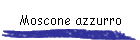 Moscone azzurro