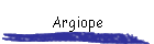 Argiope