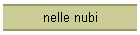 nelle nubi
