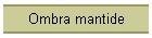 Ombra mantide