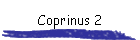 Coprinus 2