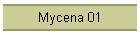 Mycena 01