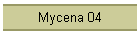Mycena 04