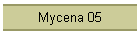 Mycena 05