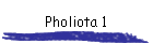Pholiota 1