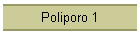 Poliporo 1
