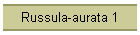 Russula-aurata 1