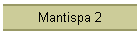 Mantispa 2