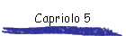 Capriolo 5