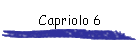 Capriolo 6