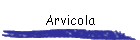 Arvicola