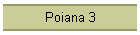 Poiana 3