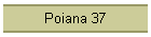 Poiana 37