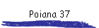 Poiana 37