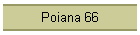 Poiana 66