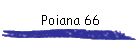 Poiana 66