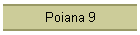 Poiana 9