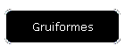 Gruiformes