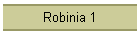 Robinia 1