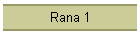 Rana 1
