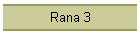 Rana 3