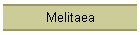Melitaea