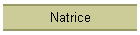 Natrice