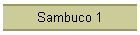 Sambuco 1