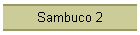 Sambuco 2