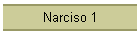 Narciso 1