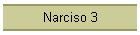 Narciso 3