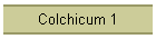 Colchicum 1