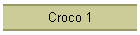 Croco 1