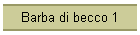 Barba di becco 1