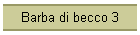 Barba di becco 3