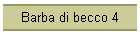 Barba di becco 4