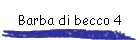 Barba di becco 4