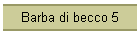 Barba di becco 5
