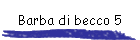 Barba di becco 5