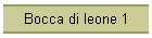 Bocca di leone 1