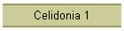 Celidonia 1