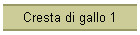 Cresta di gallo 1