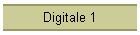 Digitale 1