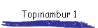Topinambur 1