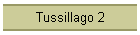 Tussillago 2