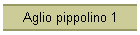 Aglio pippolino 1