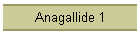 Anagallide 1