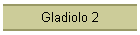 Gladiolo 2